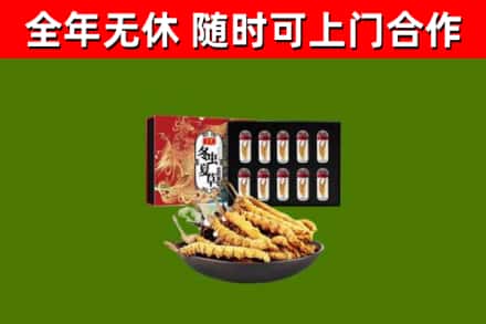 丹棱县回收冬虫夏草价格