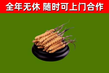丹棱县烟酒回收冬虫夏草.jpg